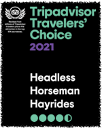 Trip Advisor Travelers' Choice 2021 award recipient