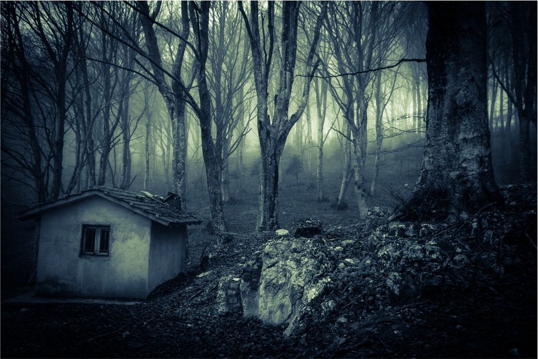 To Embrace the Halloween Spirit Together